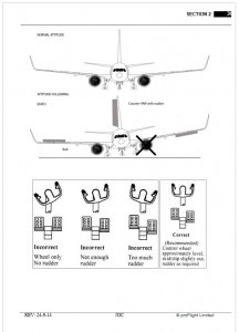 single engine 737 simulator