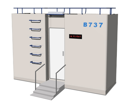 737 license renewal